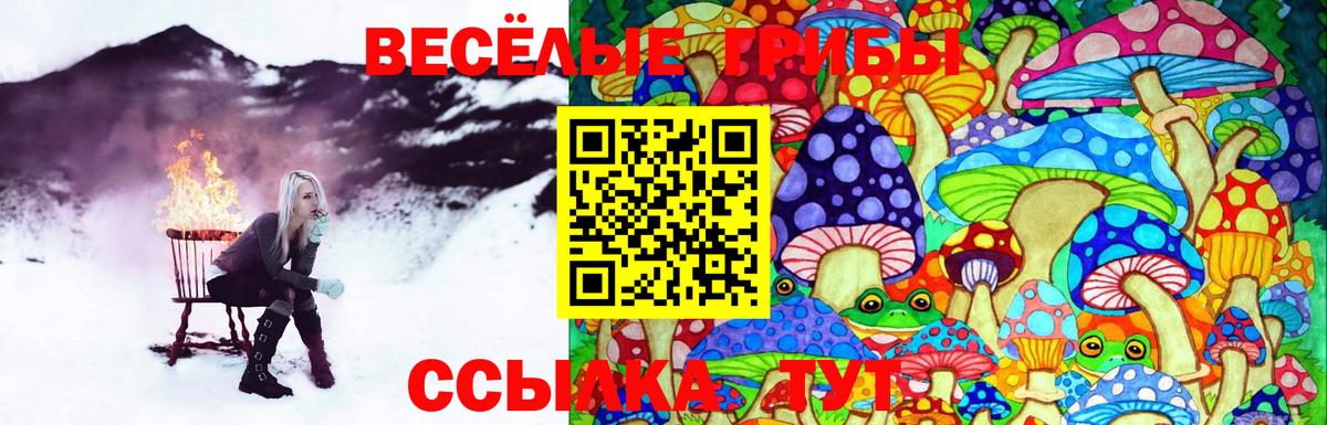 Киров  Галлюциногенные грибы MAGIC MUSHROOMS  Вход с VPN 